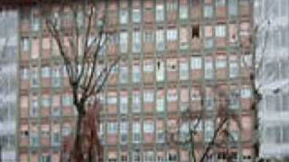 Italys Terri Schiavo In Grave Danger