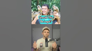 Should This Be Legal? #memes #edited #ytp #relatable ​⁠@Sambucha