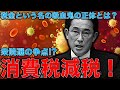 自民党は消費税を下げない！選挙と税金。私達の給料は半分が国家に持って行かれている。あなたの給料は本当は約2倍です！音楽家片岡祐介さん。一月万冊清水有高