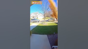He Tried To Steal A Package And Instantly Regretted It!