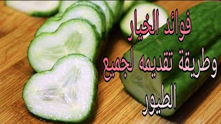 فوائد الخيار و طريقة تقديمه لجميع الطيور