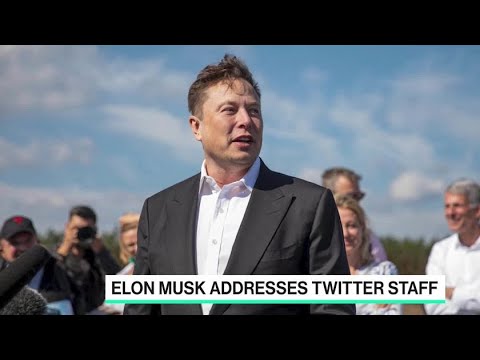 Former Twitter Employee Reacts to All-Hands Meeting With Musk Former Twitter Employee Reacts to All-Hands Meeting With Musk