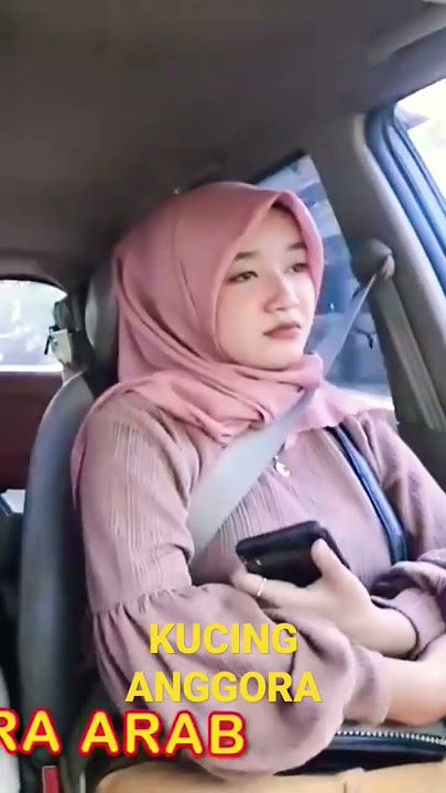 Beliin kucing anggora Arab #shorts  #gusaldi  #wokochannel