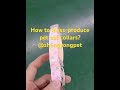 How to mass-produce pet cat collars #petsupplies #catcollar #cataccessories #production #petproducts