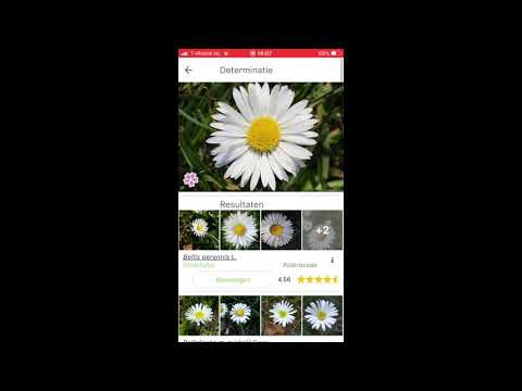 Video: Grootschalig Genoomafschuimen Uit Herbariummateriaal Voor Nauwkeurige Identificatie Van Planten En Fylogenomica