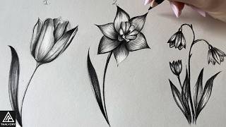 🌷 Master Spring Flowers: 3 Simple Pencil Sketches You Can Do Today! | TUTORIAL screenshot 5