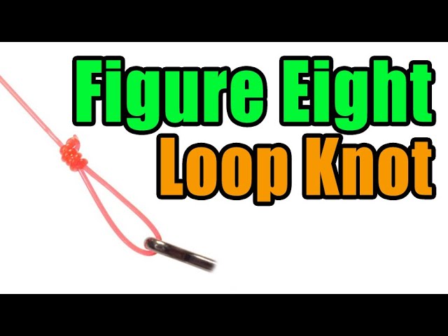 Figure Eight Loop Knot - Great Heavy Shock Leader Knot For Tarpon & GT's -  Fly Fishing Knots 