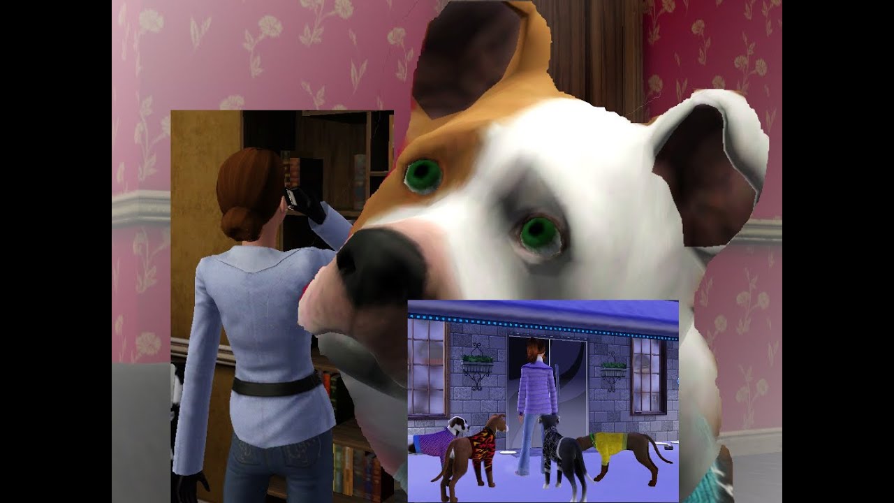 Life of a Dog Part 7 (Sims 3 dog (love) story) YouTube
