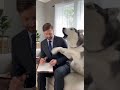 No one’s gonna frame me ever again!#funny #cute #Max #dog #cat #animals #pets