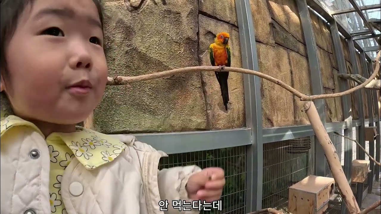역대급 대형 실내동물원 오산 버드파크 방문기!!