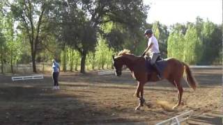 M4H00186  Dressage camp lesson