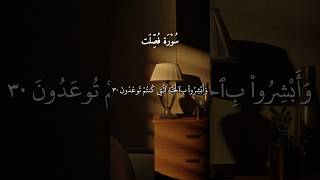 Surah Fussilat ♥️ #surahfussilat #quran #shorts