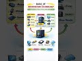 Basic of Information Technology | Input, Process, Output & Storage Explained
