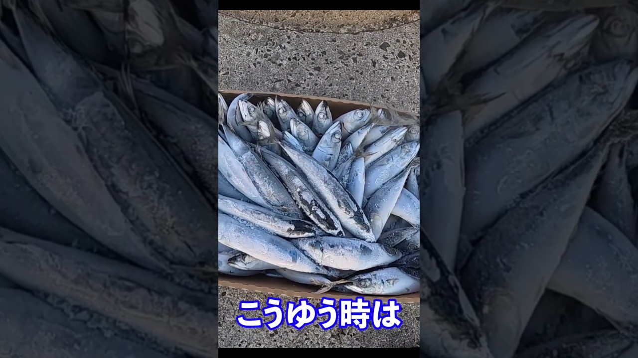 冷凍餌の使用方法　扱い方