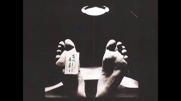 i am - Destructible Times