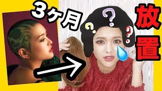 【公開】あれから３ヶ月間髪を放置しました。