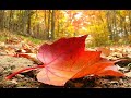TERI SAANSON KI SAASO MEIN FROM MR X ANKIT TIWARI WITH LYRICS TERI SAANSON KI SAASO MEIN FROM MR X ANKIT TIWARI WITH LYRICS