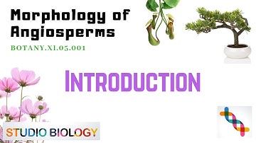 BOTANY.XI.05.001 - Morphology of Angiosperms - Introduction