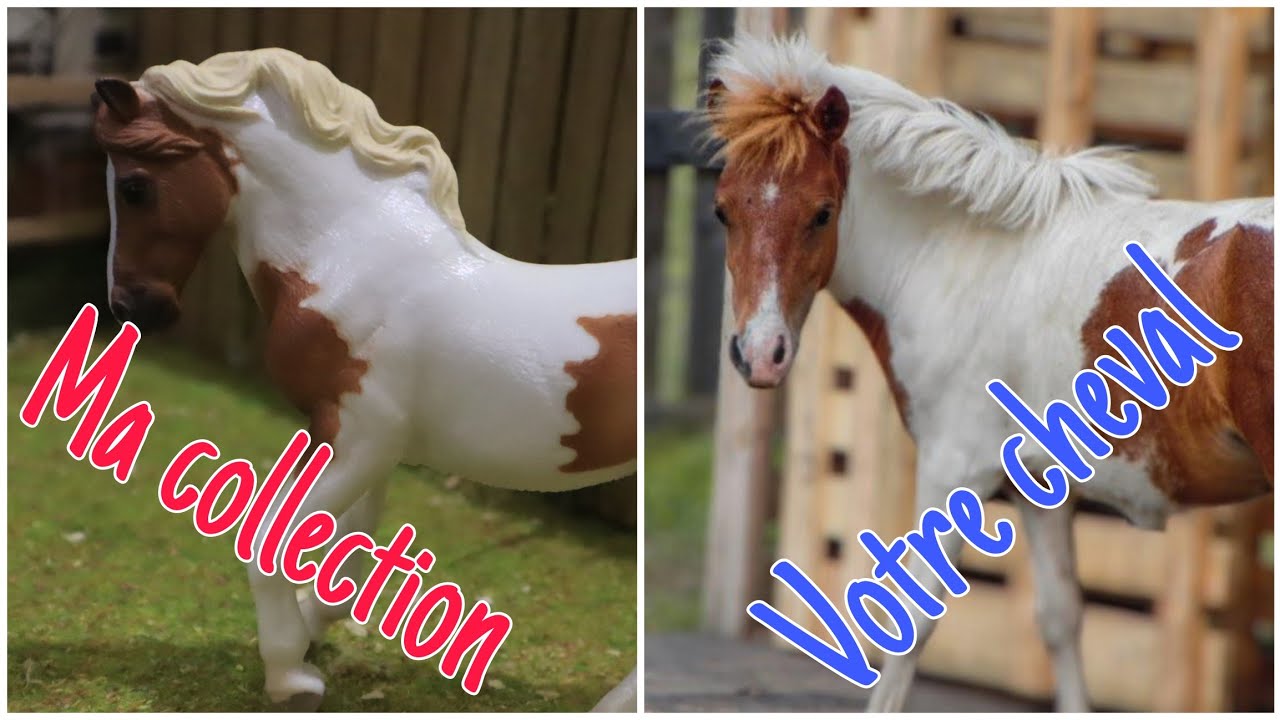 Je trouve vos vrais chevaux parmi ma collection ! #1