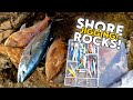 Chasing the DREAM ones | Fishing Off the Rocks!