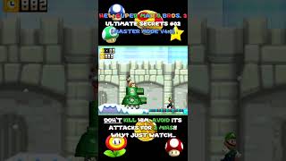 Ultimate Secrets in Master Mode 02 (its NSMB, not SMM1 nor SMM2)