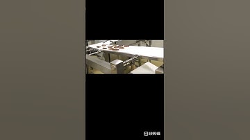 Automatic food aligner conveyor #shorts