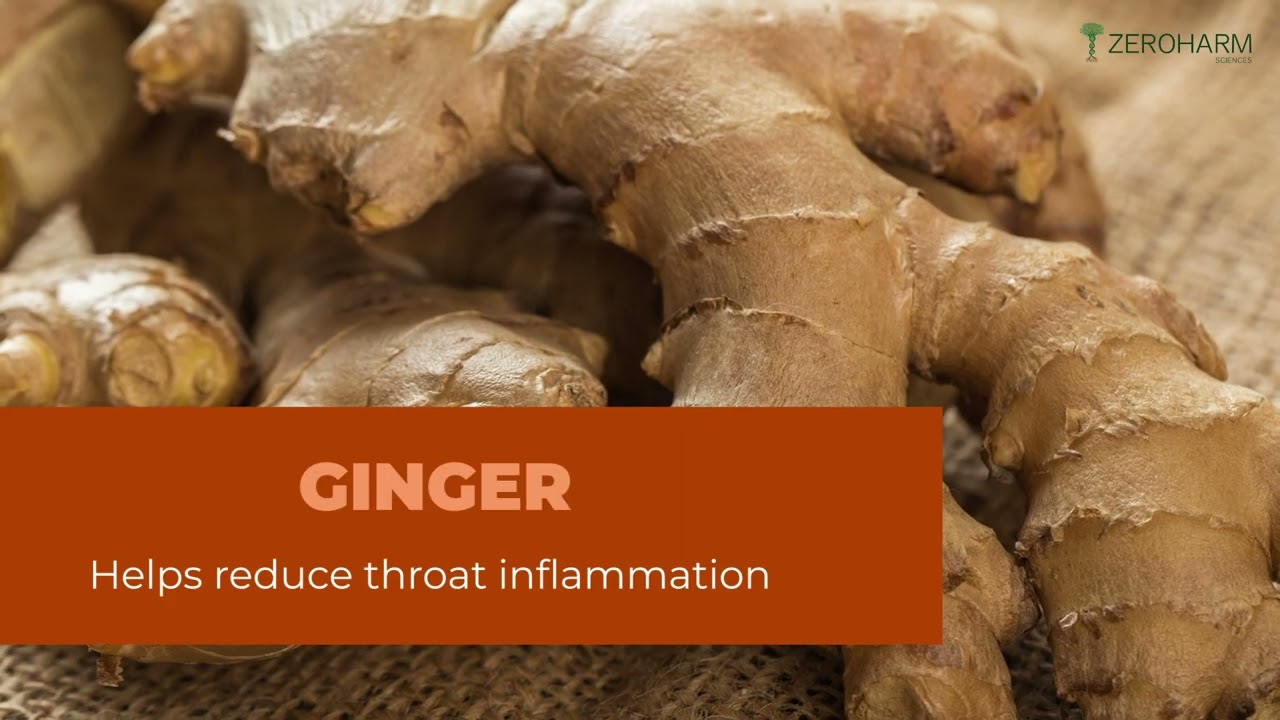 Ayurvedic Lung Detox Solution To Clean Lungs | Zeroharm Holo Lung Detox Tablets