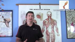 Therapeutic Massage Perth - How To Choose Your Therapist.