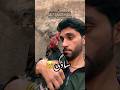 Mera Aseel Java Murga 😍🔥 | Real Power Shorts#aseelmurga #javabreed#aseel#murga#kingmurga #birds