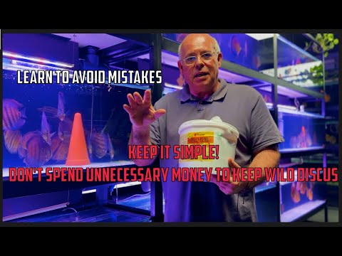 Learn to avoid mistakes with Wild Discus