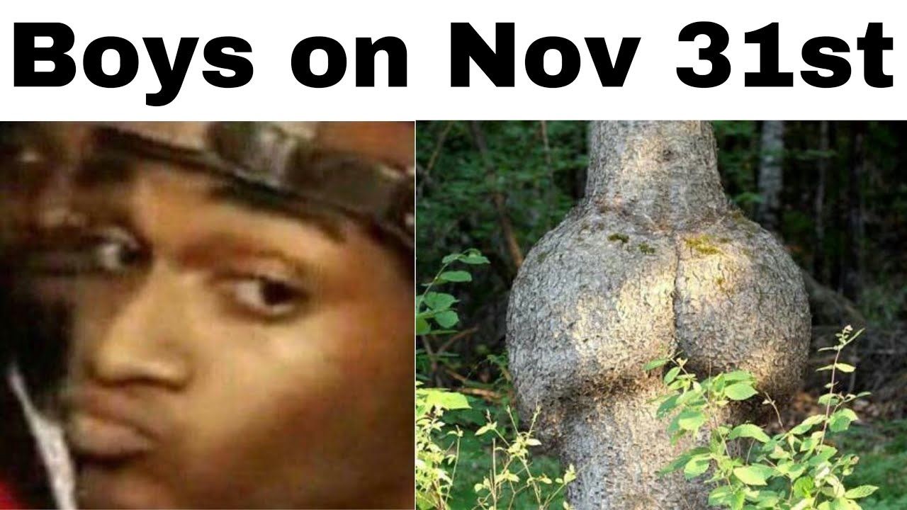 NO NUT NOVEMBER MEMES | NNN 