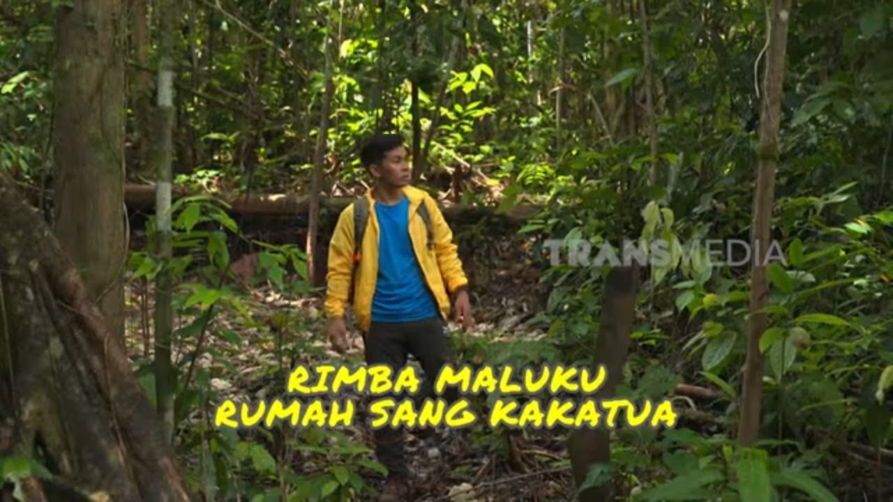 Rimba Maluku Rumah Sang Kakatua | SI OTAN (24/09/24)