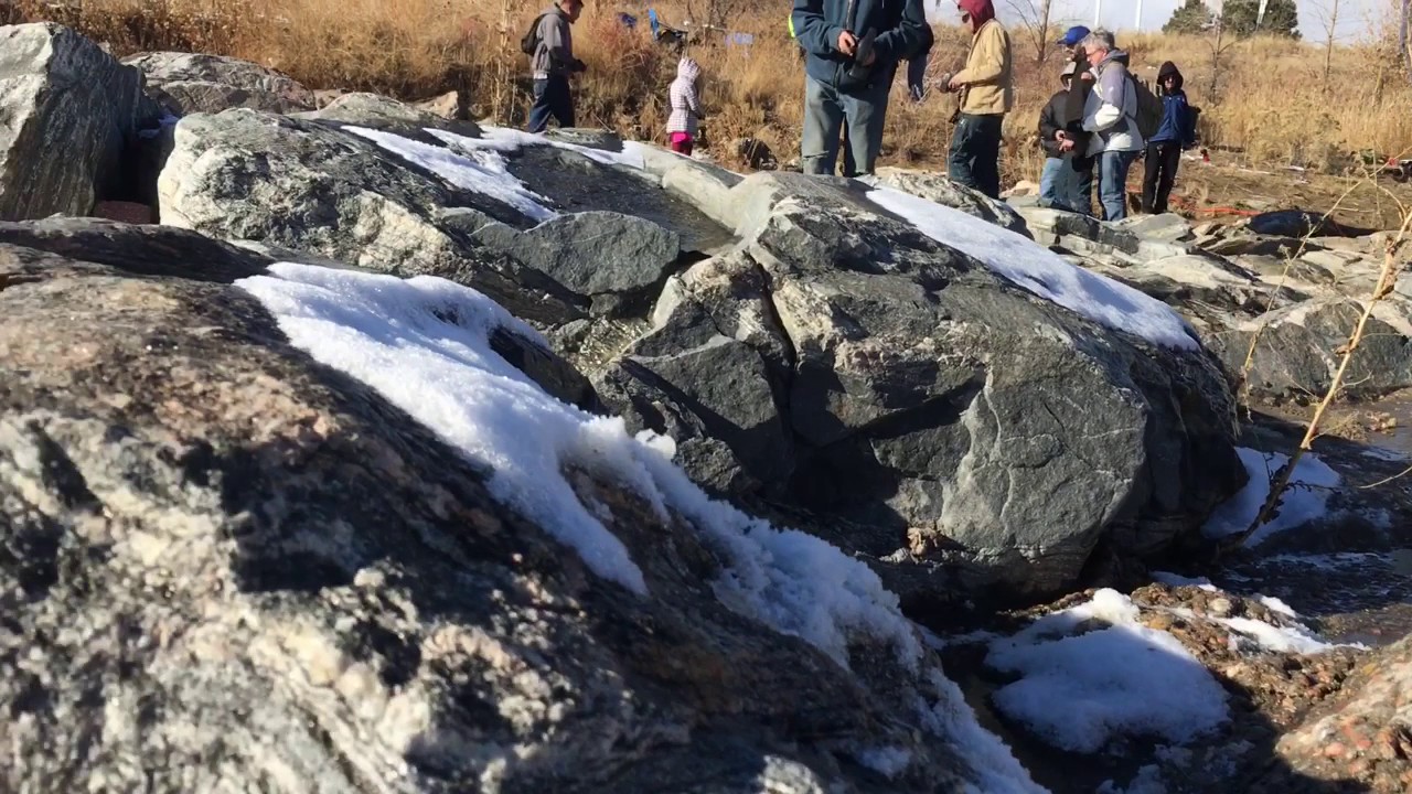 Arctic Tundra Scale Adventure 2016