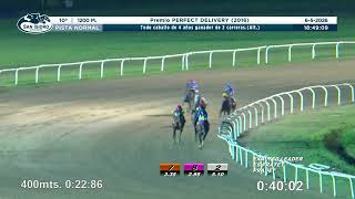 Vidéo de la course PMU PREMIO PERFECT DELIVERY 2016