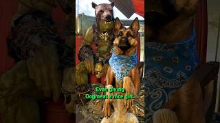 Erickson and Dogmeat’s Unique Interaction in Fallout 4