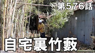 自宅裏の竹密度99.9％の藪に挑む｜地道に一本づつレシプロソーで切って剪定ばさみで細かくする