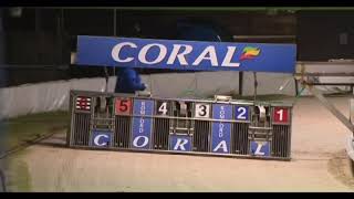 Greyhound Bossy wade trap 6