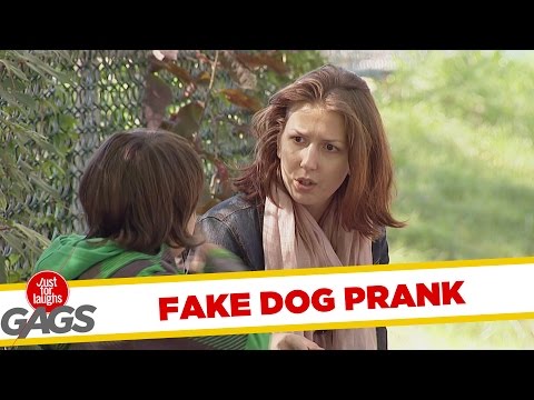 youtube filmek - Kid Steals Blind Man's Dog !