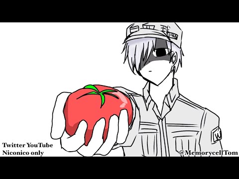 【手描きはたらく細胞】白血球さんのトマト【未完】