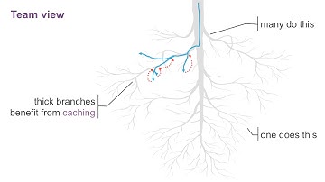 Unafraid of Change: Optimizing ETL, ML, and AI in Fast Paced Environments with Sim Simeonov (Swoop)