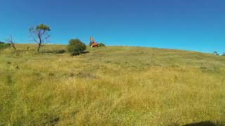 Gorse Mulching 2018