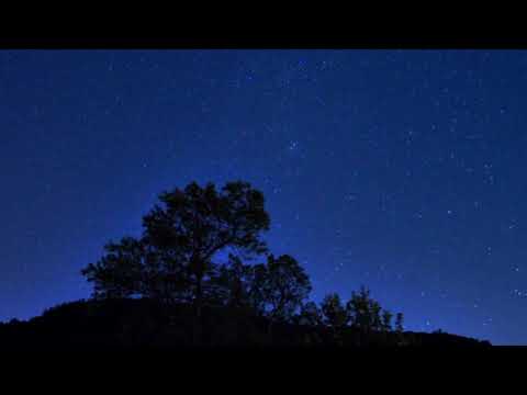 Cursedsnake Calm Slowed 