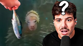 esses animais são tão ESTRANHOS QUE PARECEM DE OUTRO PLANETA