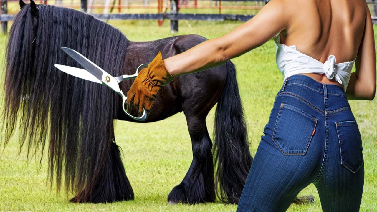 They Thought It Was OVER… But This Horse Surprised Everyone! 🐴 4K