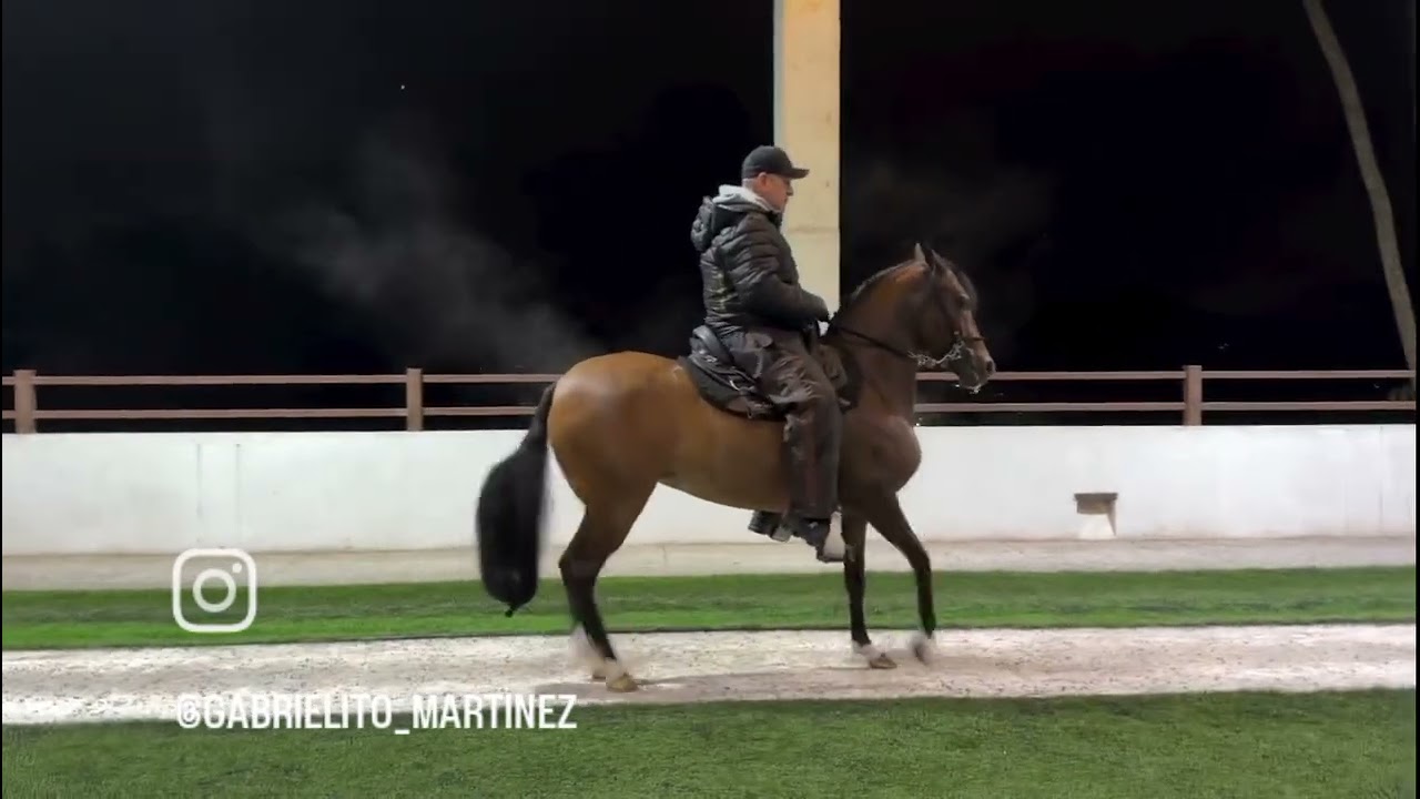 21 de febrero de 2026