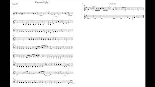 Eleanor Rigby Violin 4