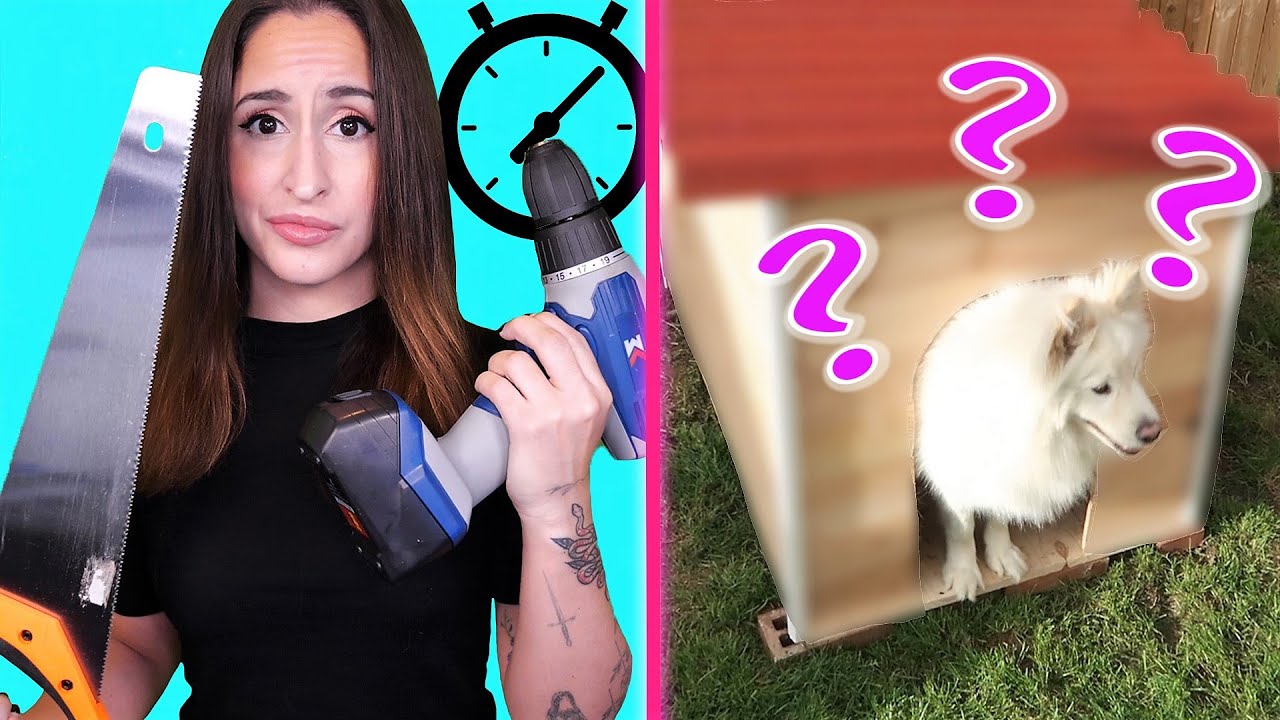 LA PIRE IDÉE EN 30 MIN : CONSTRUIRE UNE MAISON POUR MOI ET MON CHIEN !