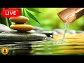 🔴 Relaxing Zen Music 24/7, Healing Music, Meditation Music, Spa Music, Sleep, Zen, Nature Sounds