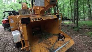 Some crispy dead, very dangerous trees to remove