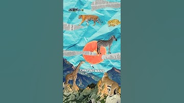 Can Math Explain Patterns On Animals? 🧐🦁